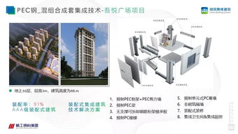 徐國軍PSC鋼結(jié)構(gòu)集成建筑成套技術(shù)與工程應用